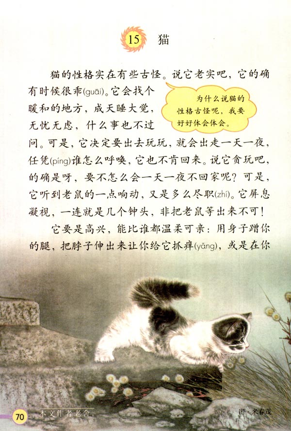 喵兽|喵言喵语之老舍的"猫"