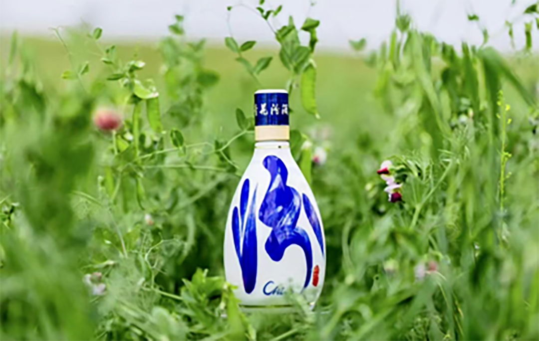 严于国际标准的白酒标准有何独特之处