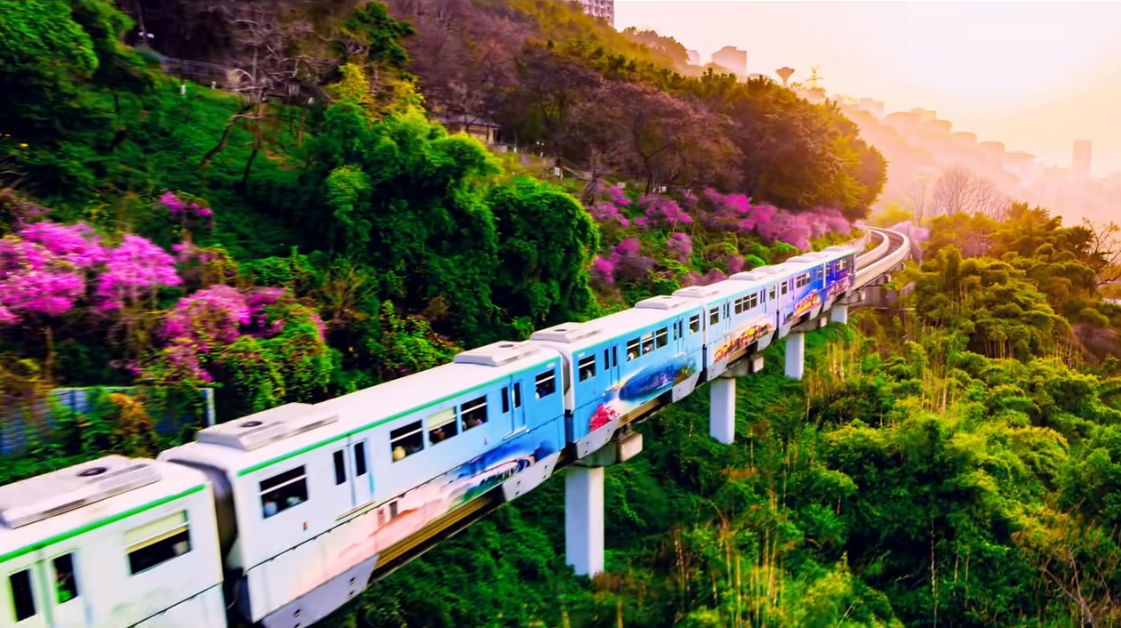 网友拍的这组开往春天的列车太美了_财富号_东方财富网