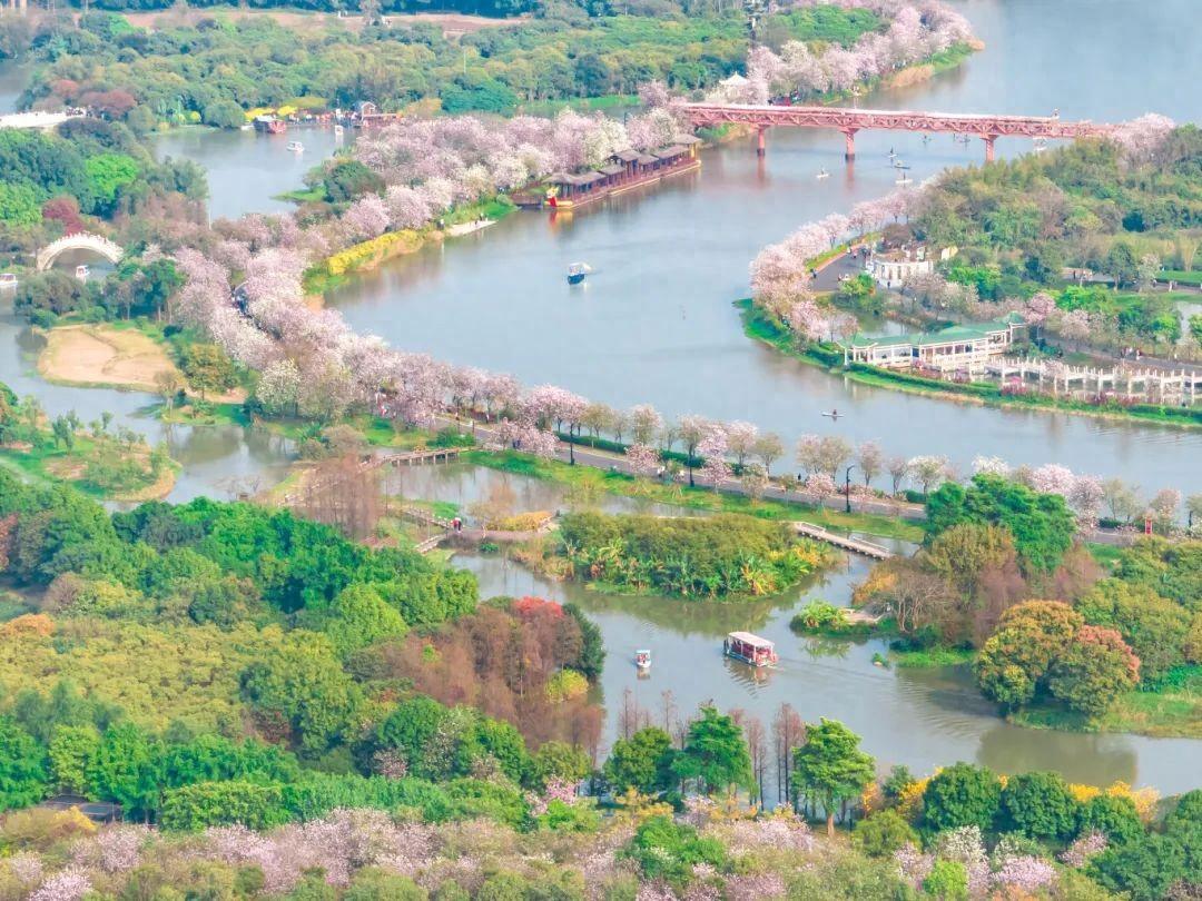 海珠景点图片