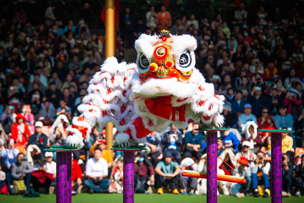 醒狮贺新春.南方日报记者 鲁力摄