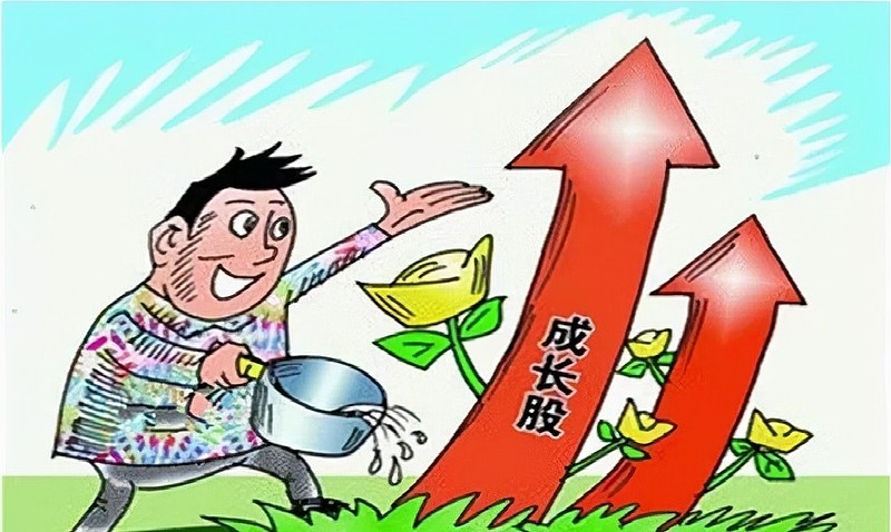 为何不要买入成长股