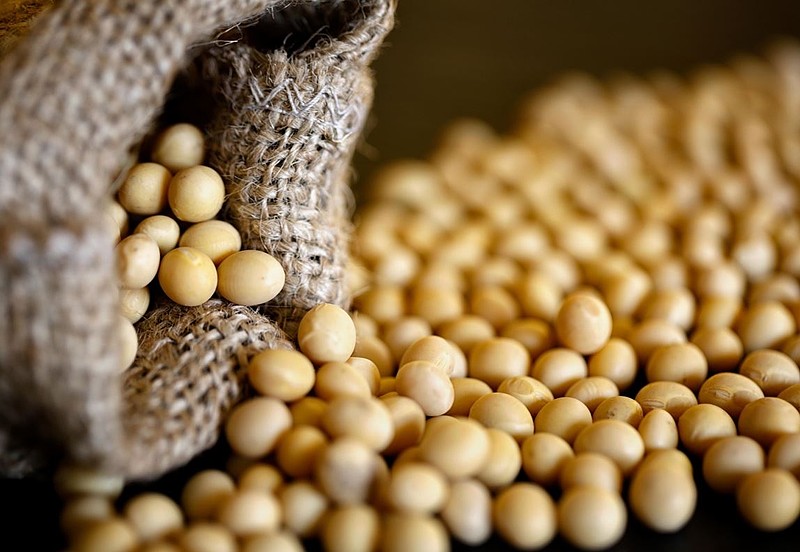 美豆破位下跌强化市场看空情绪豆粕etf震荡偏弱20240226