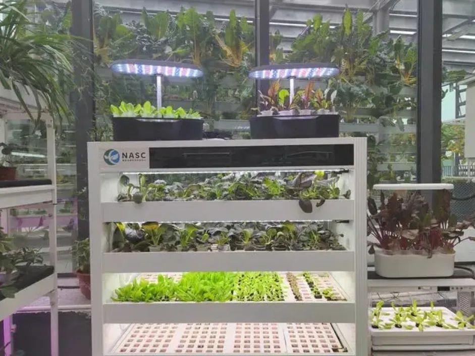 世界首例无人化垂直植物工厂投用它碳中和了吗
