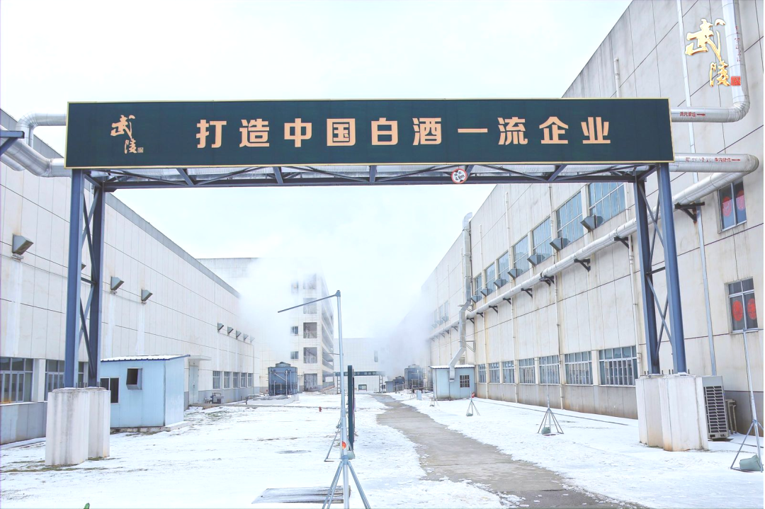 开年即抢跑武陵酒龙年携手终端砥砺前行