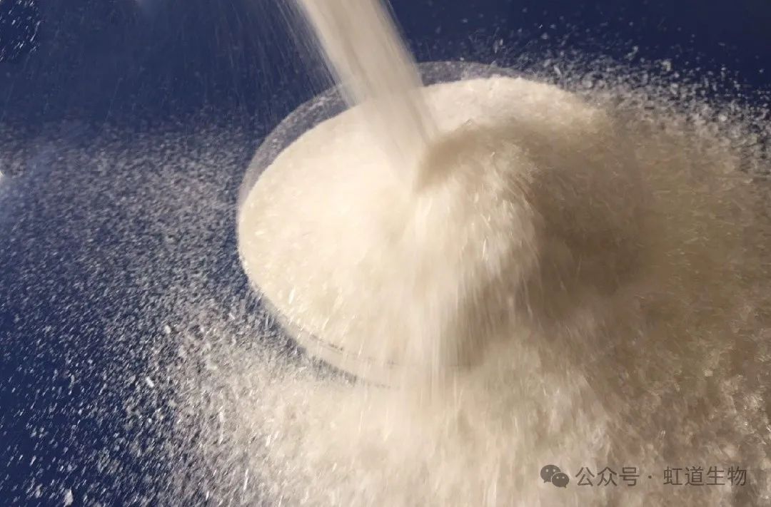 虹道生物抗菌技术之对比分析