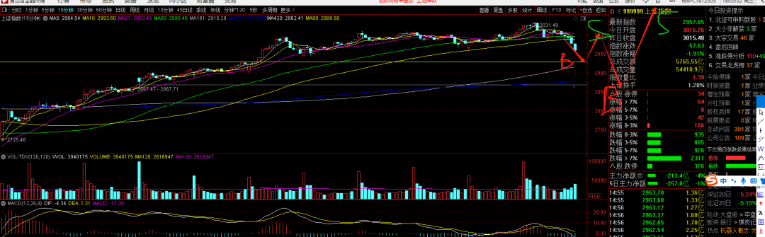 今日a股大跌是机会还是风险228号复盘