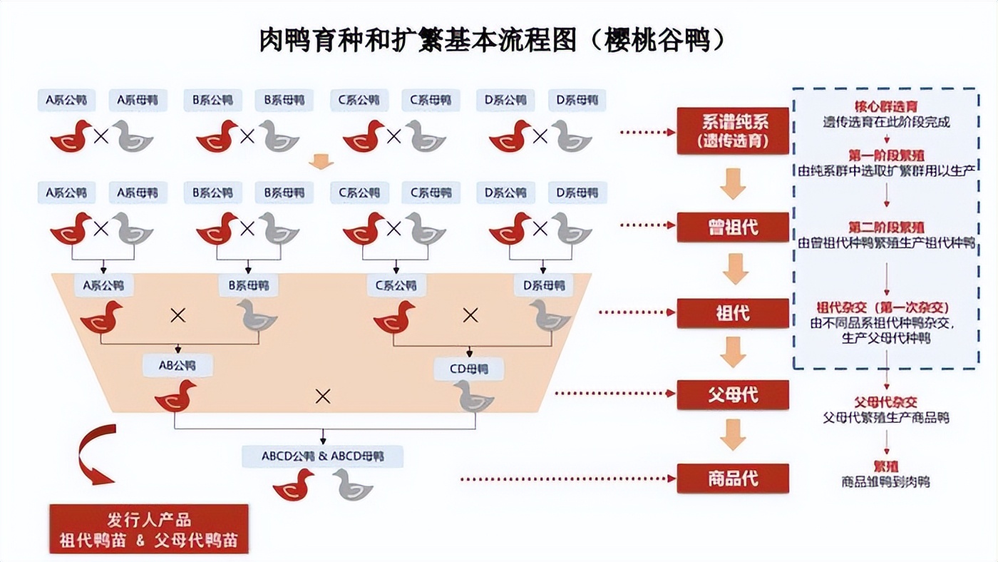 今日头条控股股东构成(今日头条控股股东和实际控制人)