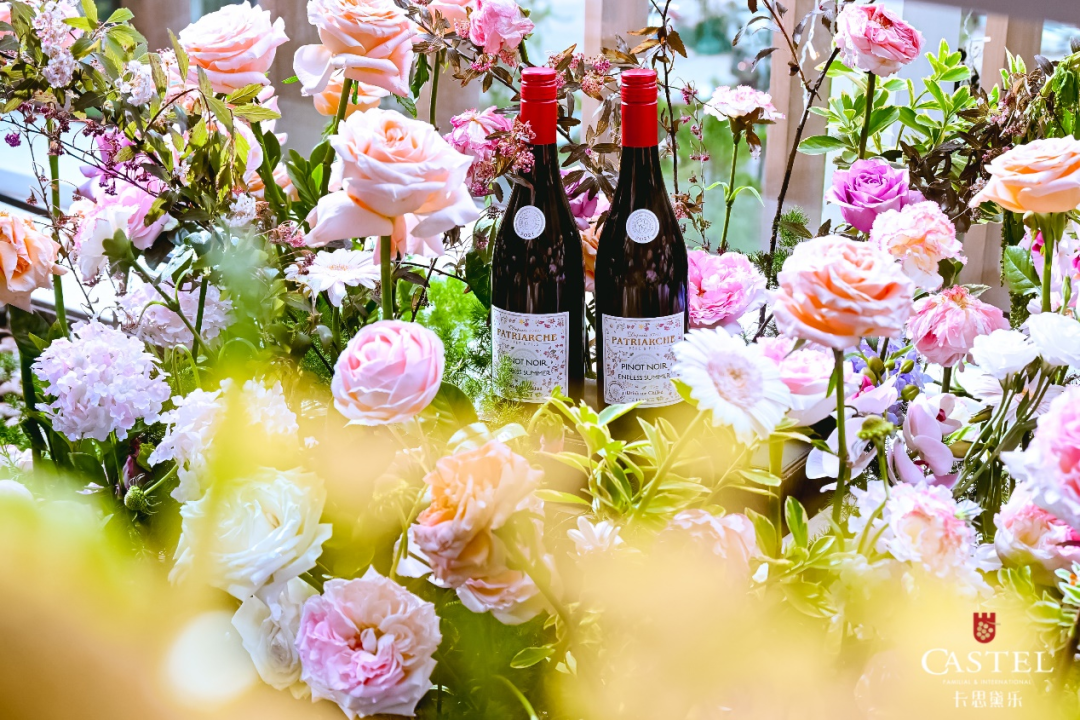 其中既有国际性大品牌,如玛茜,卡思黛乐家族,卡柏莱,玛利莎,惟诘尼