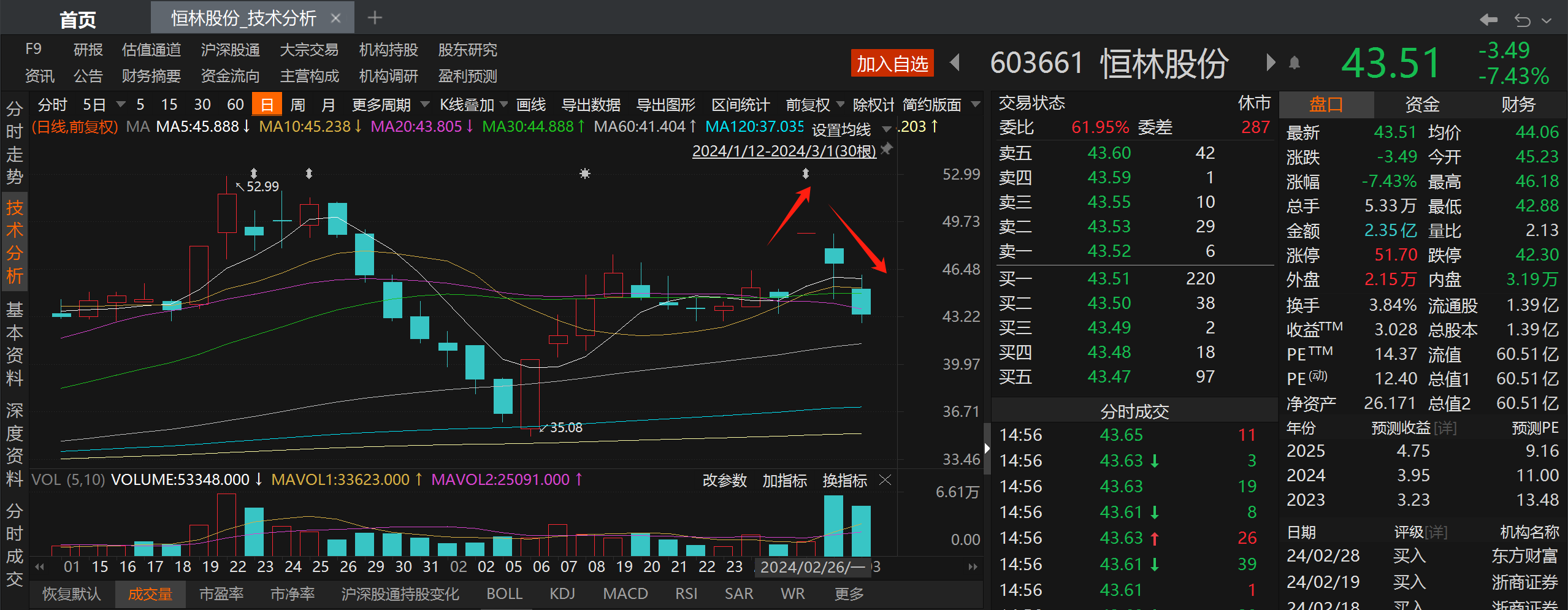算力跨界牛股众生相安奈儿恒林股份和安诺其等新面孔崭露头角会否再造