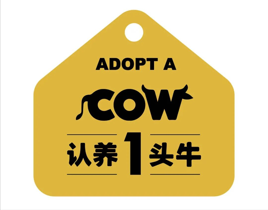 监管严厉发声认养一头牛后脚一撤了之