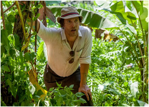 炒股十大必看电影之《金矿》(gold)——只要能发财,没人想知道真相!