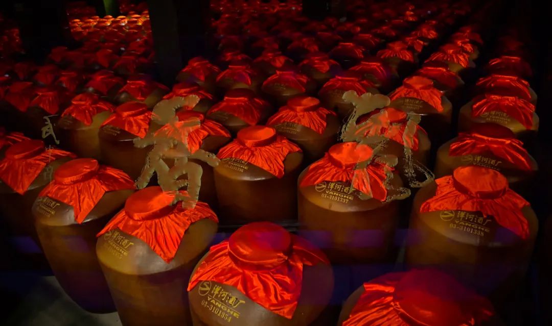 洋河10万吨陶坛库项目建成投入使用炼成超百万吨储酒能力