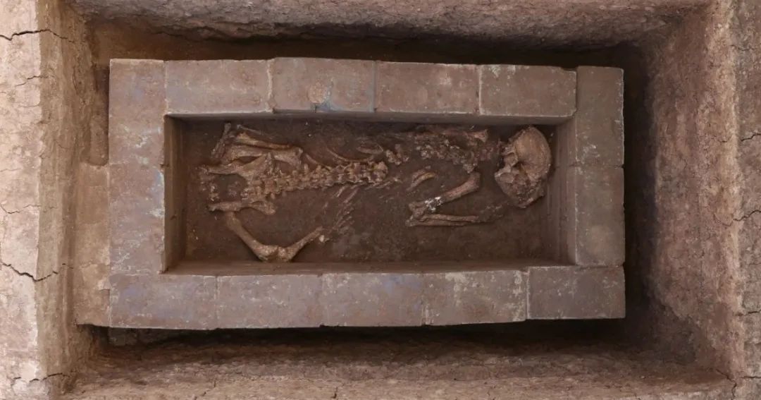 封面故事汉文帝的地下苑囿