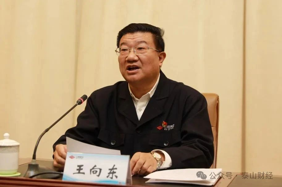 王向东辞任山东钢铁董事长