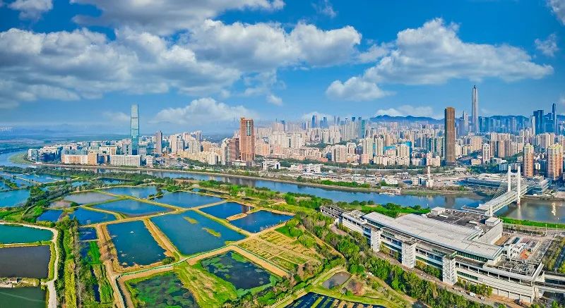 港人"北上"赴深圳消费一度登上热搜,"反向代购"成为潮流.