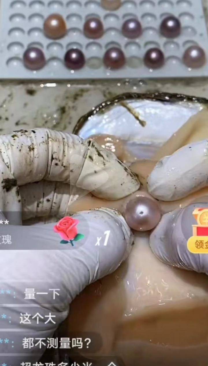 开蚌直播开的是盲盒还是陷阱30多年珍珠养殖户不要去买