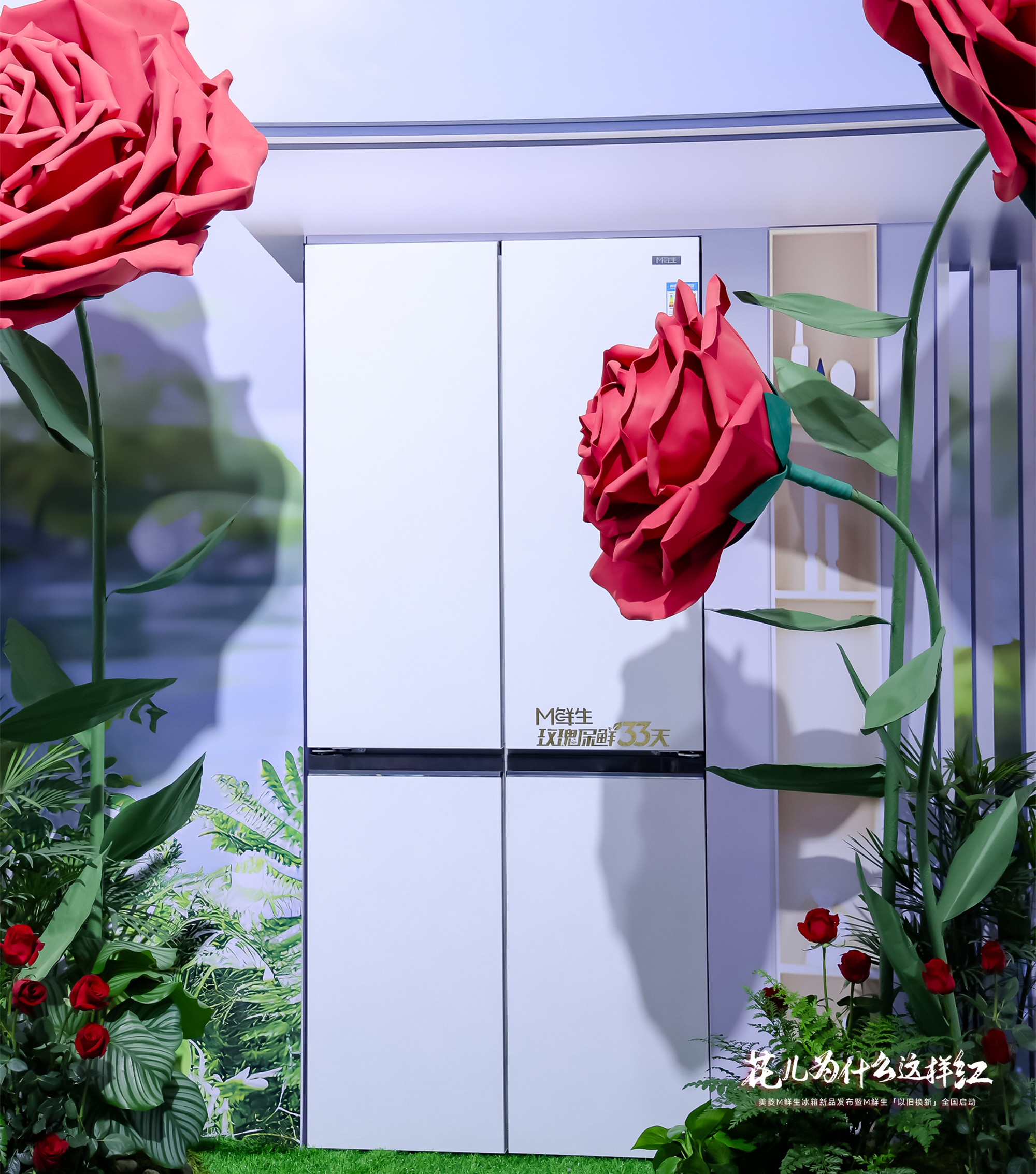 花儿为什么这样红? 长虹美菱M鲜生新品冰箱用科技续写保鲜传奇-家电圈官网