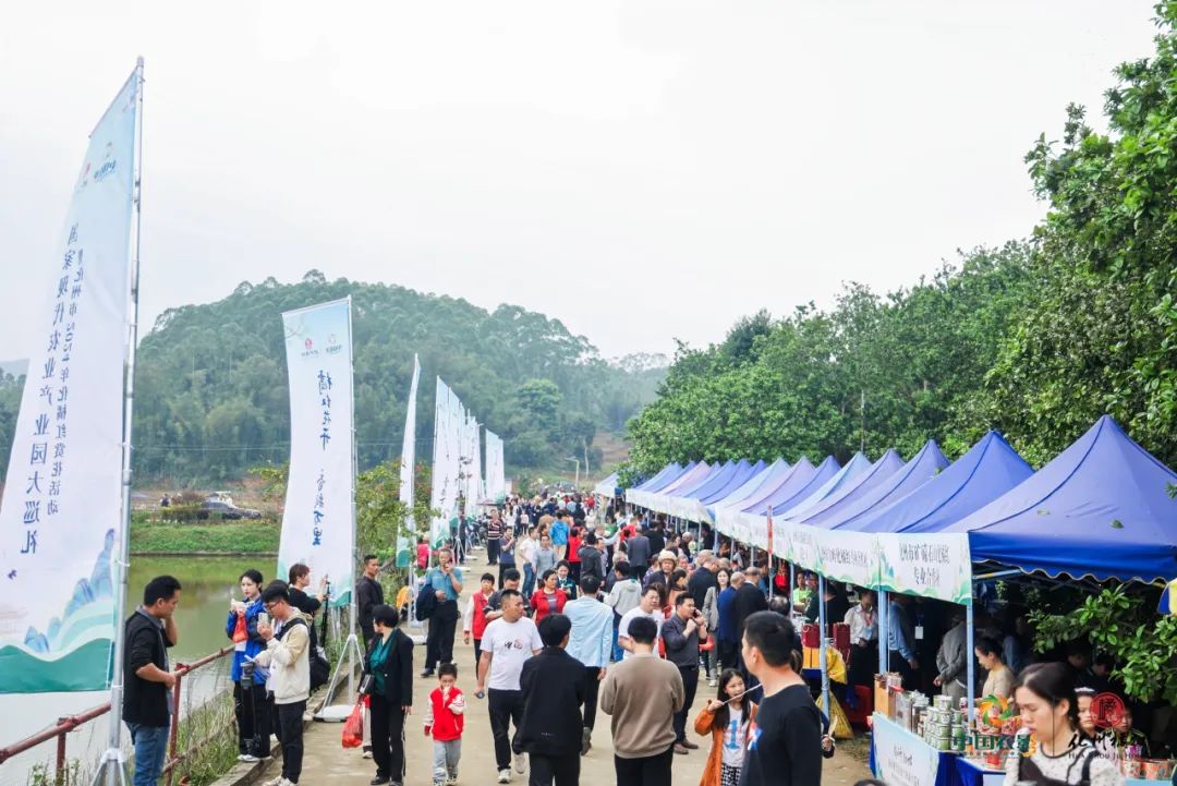 化橘红点绿成金为致富果国家现代农业产业园大巡礼给出化州样本