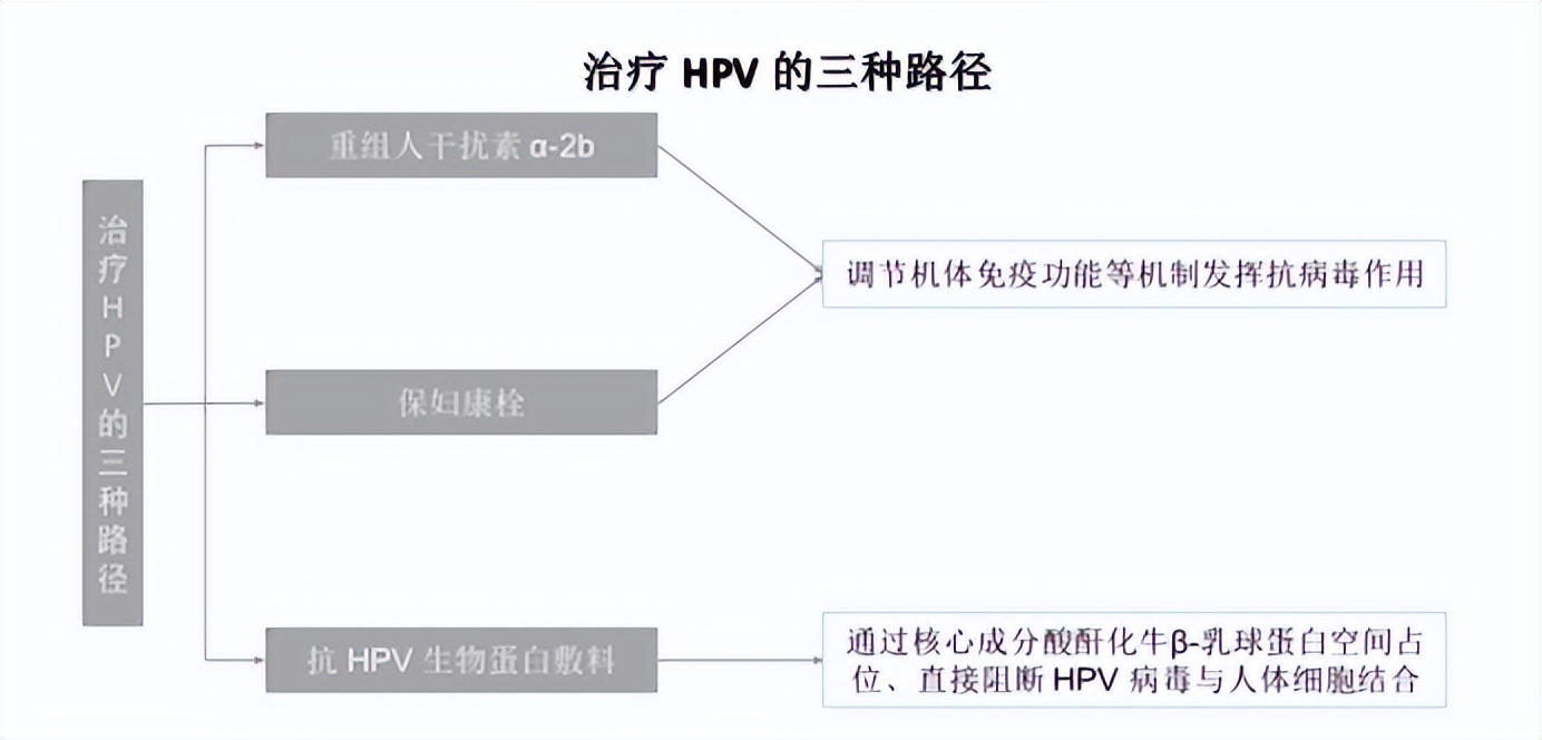 国内唯一三年净利大涨1000营收涨幅直逼500最有望超越爱美客的龙头