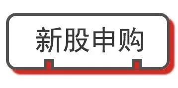 星宸科技(301536,创业板)公司概况及简介:公司为全球领先的视频监控