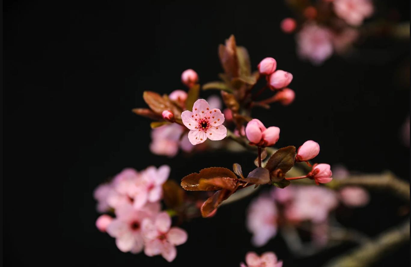 首页>创作行>专栏正文>1368_891