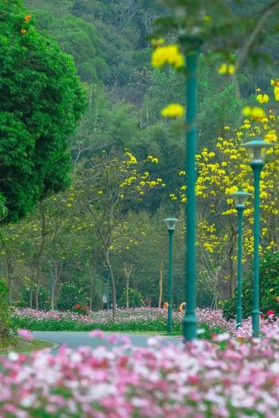 招商蛇口深圳公司激活精彩会展春天扑面而来