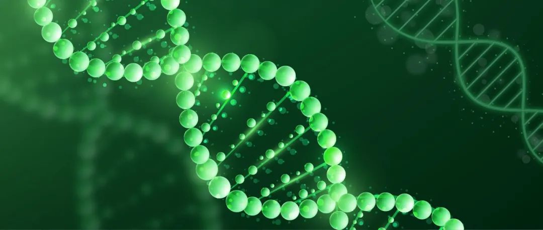 重组胶原蛋白行业再迎里程碑这次巨子生物刀刃向内