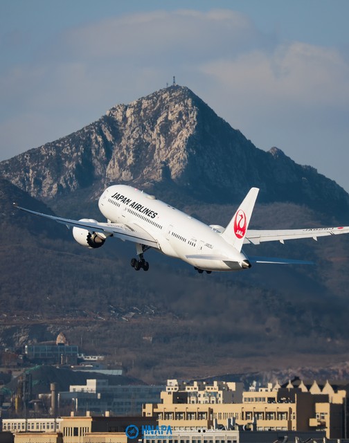 日本航空图片