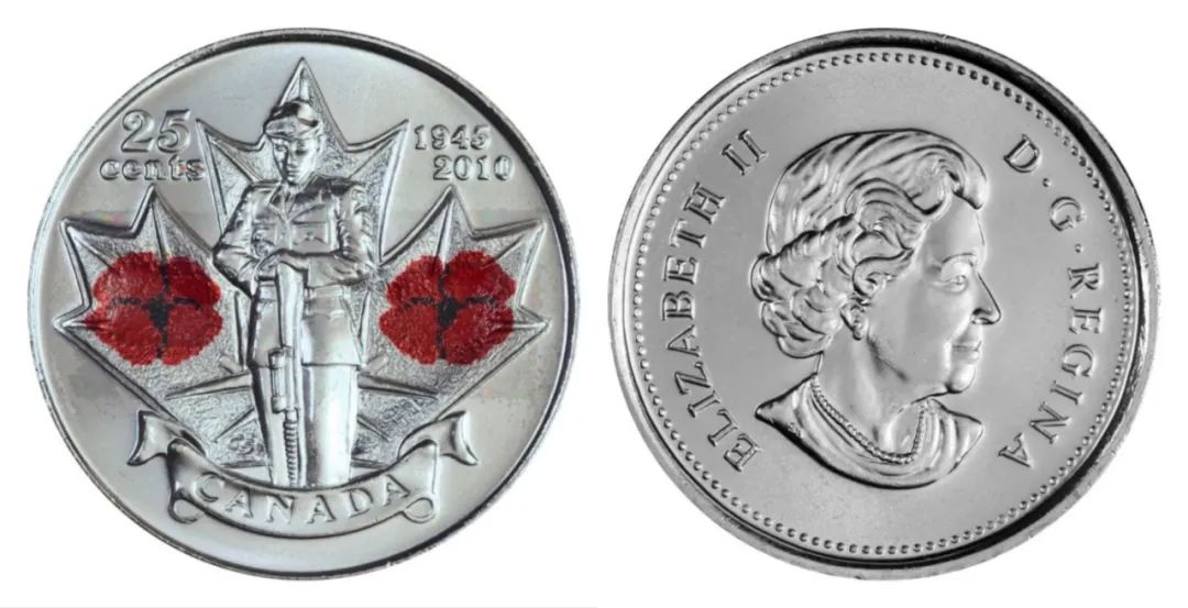 文化盛开在钱币上的虞美人