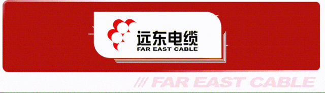 勇立潮头|属于线缆人的星辰大海_财富号_东方财富网