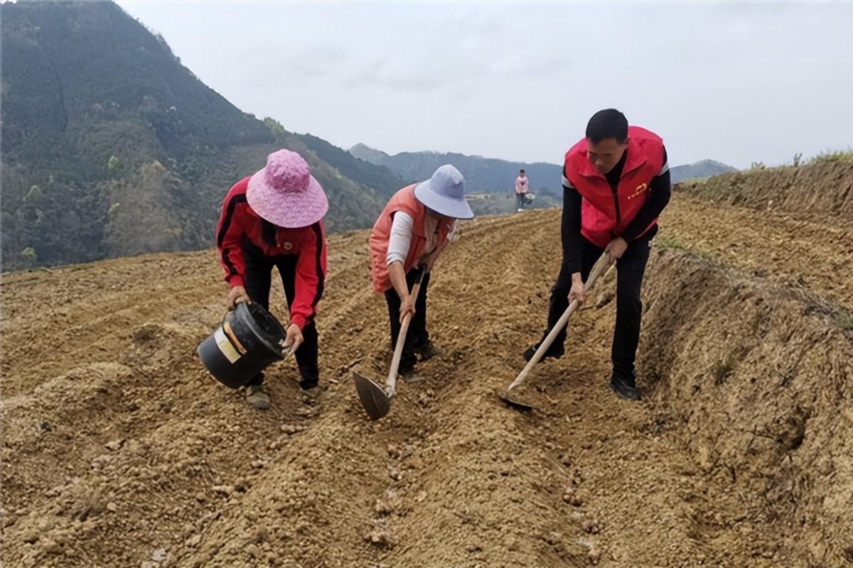 河池移动驻村队员助力开展春耕备耕工作