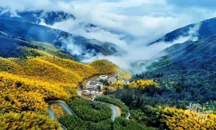 临安旅游攻略大全从历史文化到自然风光这些必游之地带你领略不一样的