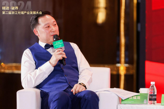 国能能源研究院院长国际能源网总裁张福龙新能源市场具有很大增长空间