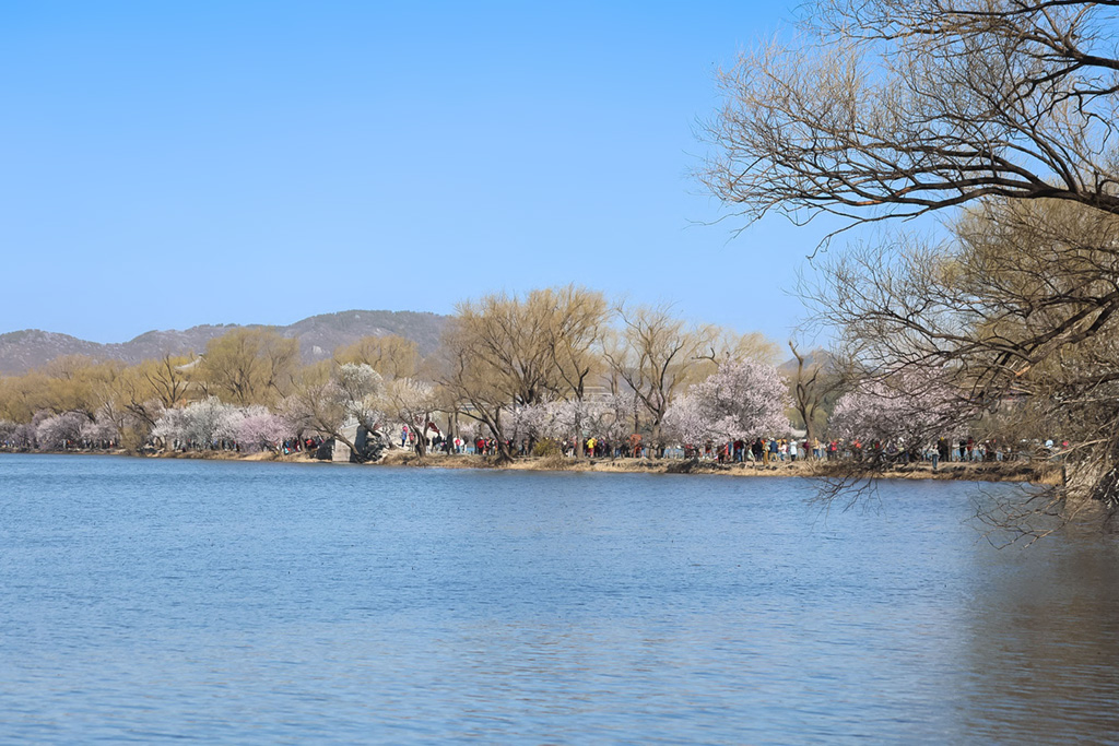 光影世界春风桃花西堤柳