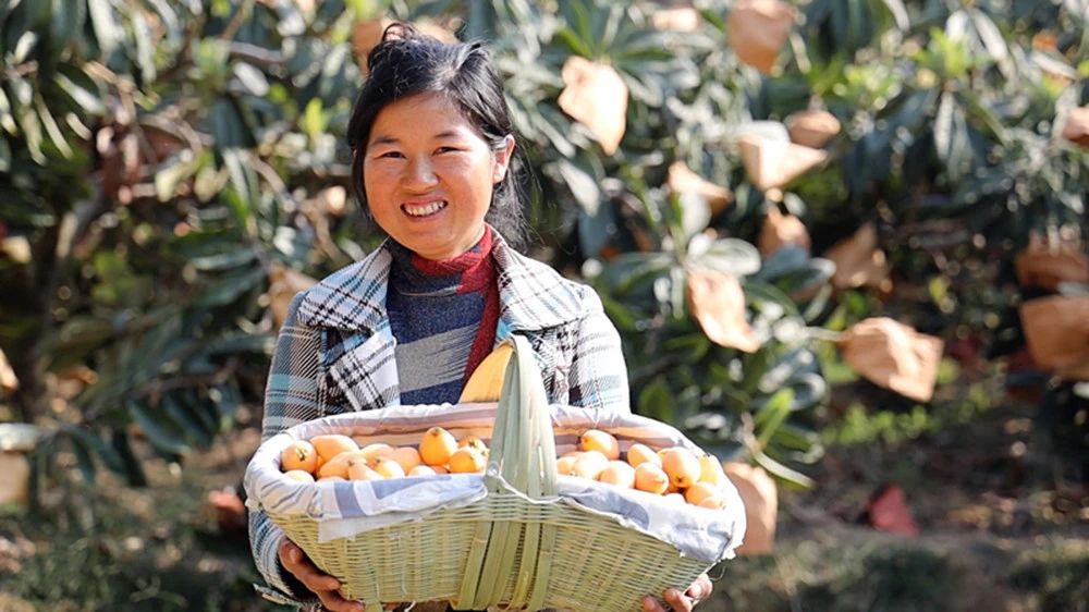 出海再远拼多多根都扎在中国农业与农村