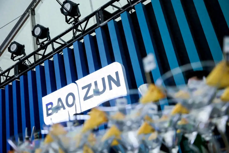 成立三大业务板块满一年宝尊迎来收获信号