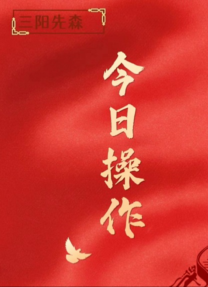 提个醒我今天大幅加仓这个方向