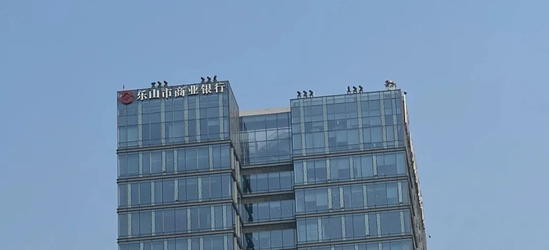 乐山商业银行是什么银行类型的(乐山商业银行属于城市商业银行吗)