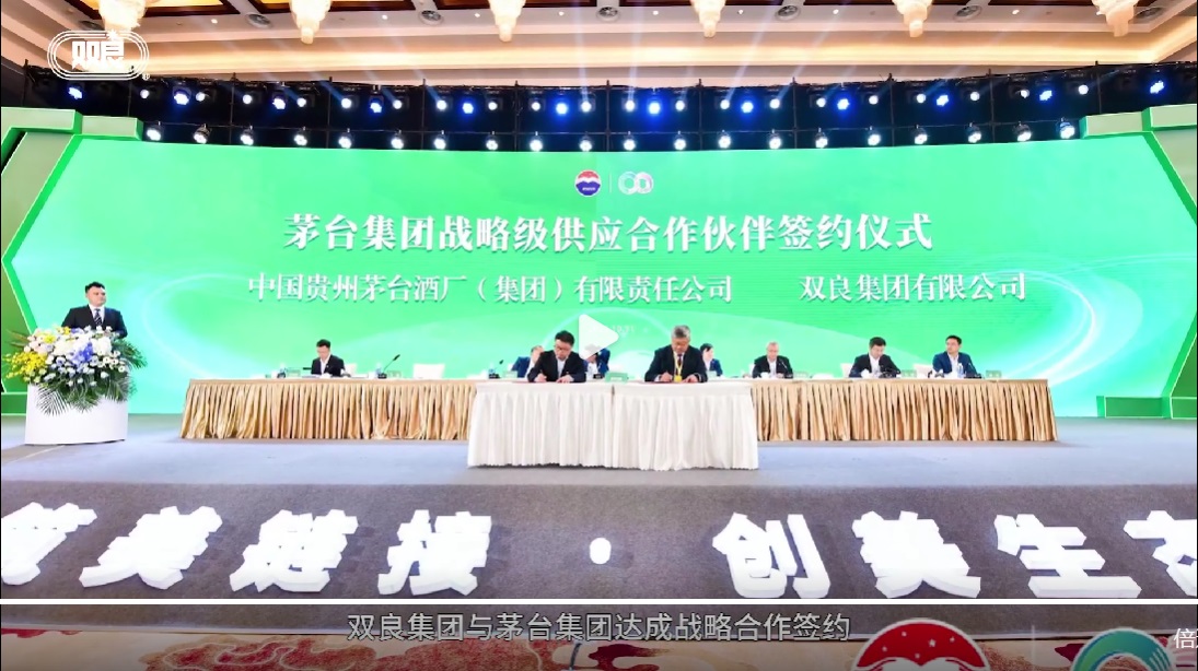 年产700台套绿电智能制氢装备项目开工,双良节能发力_