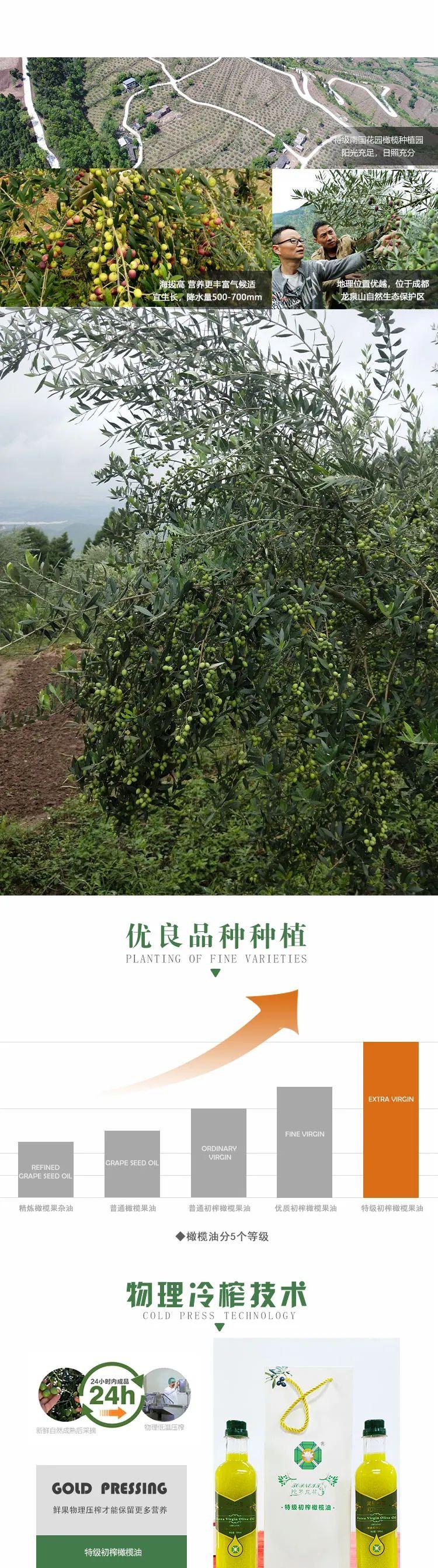 以原生态的种植,手工精选挑选橄榄果,特级初榨,营养更丰富,油质更优良