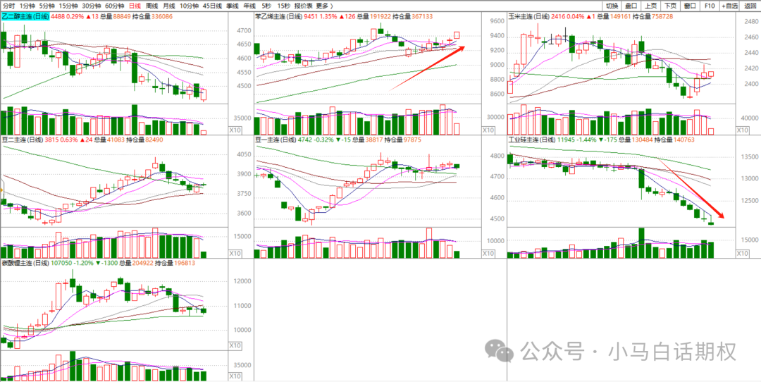 期权周复盘0331比赛第一天大家都做啥品种今晚7点直播