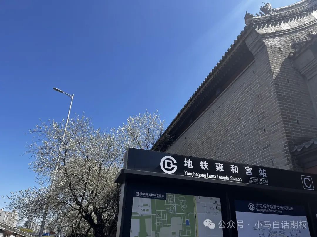 期权周复盘0331比赛第一天大家都做啥品种今晚7点直播