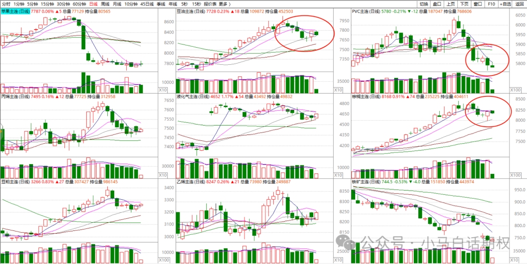 期权周复盘0331比赛第一天大家都做啥品种今晚7点直播