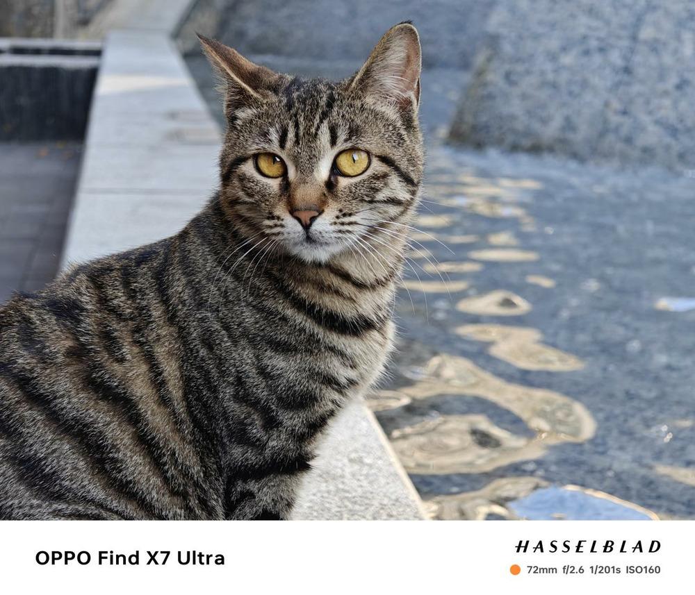 不仅搭载卫星通信配置也更强oppofindx7ultra卫星版评测