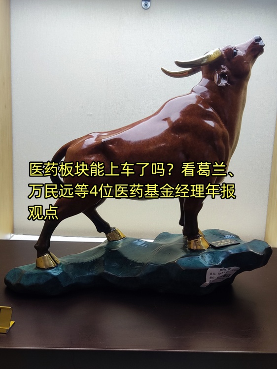 医药板块能上车了吗看葛兰万民远等4位医药基金经理年报观点