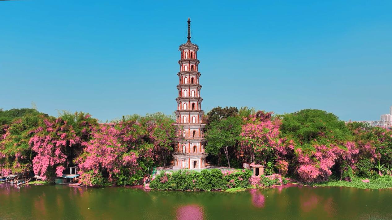 清远清新太和镇首届旅游发展大会探寻中国山水间的文旅新宿