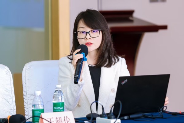 数势科技出席ccsatc601第15次全会探讨大模型与指标平台的应用