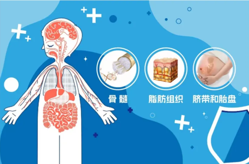扬帆启航,蓄力前行丨易文赛生物公司干细胞药物完成受