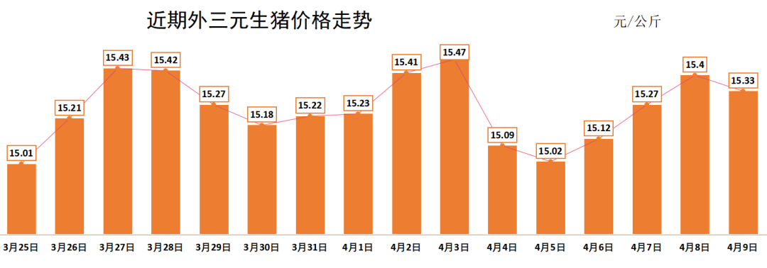 明日生猪价格走势预判